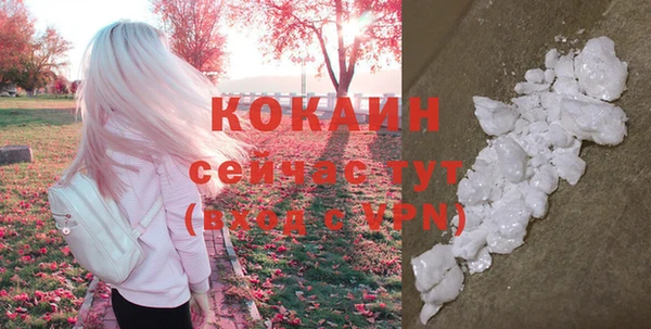 СК Волоколамск
