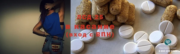 СК Волоколамск