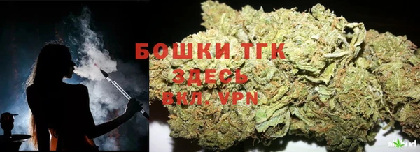 СК Волоколамск