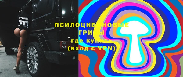 2c-b Верея